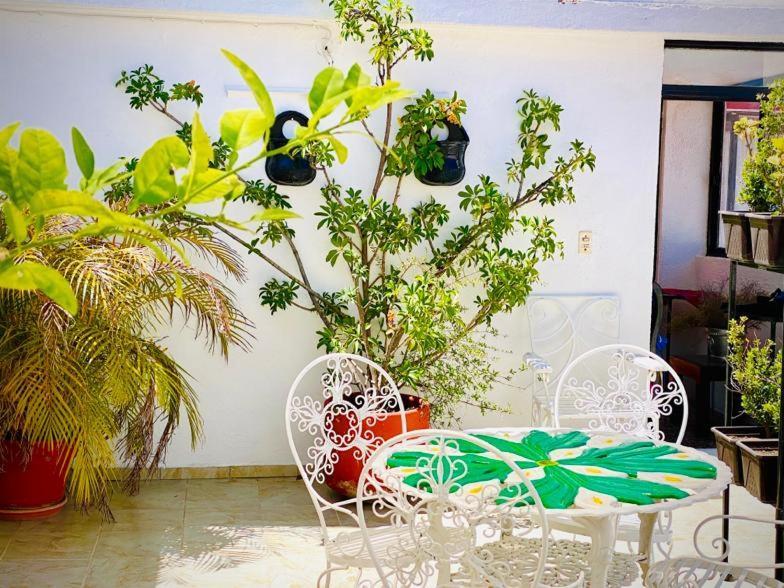 Casa Mexicana Ξενοδοχείο Γκουαναχουάτο Εξωτερικό φωτογραφία